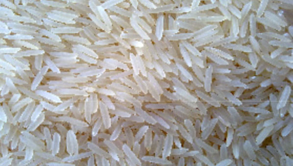 basmati rice