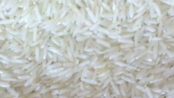 white rice